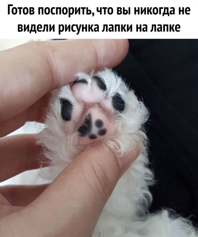 Так себе картинки 30.03.25
