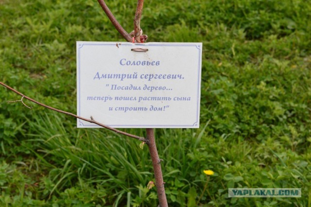 Я нашёл способ как можно нажиться на москвичах.