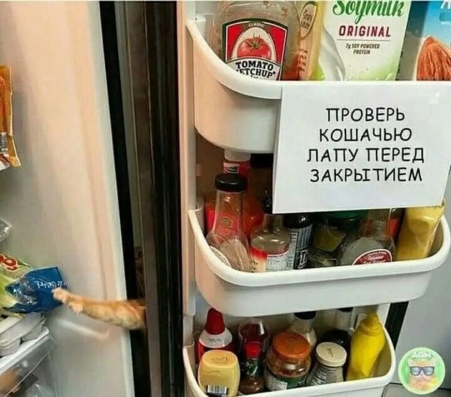 Так себе картинки 12.05.25