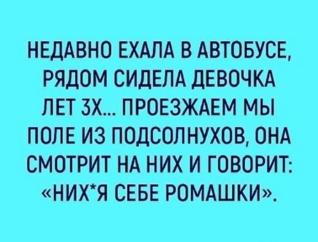 Так себе картинки 12.06.25