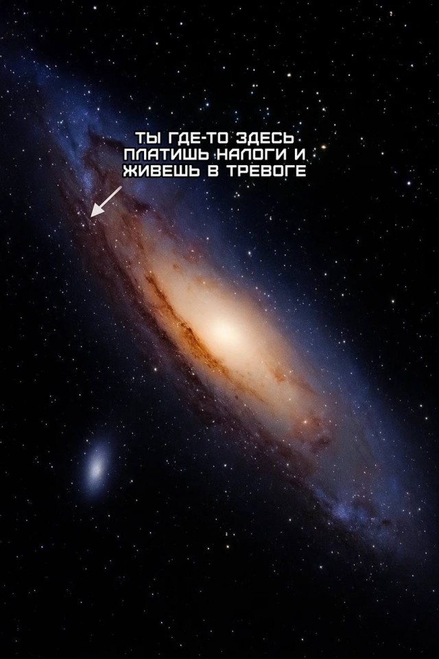 Весёлый полтишок 13.07.25