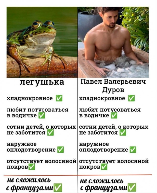Последняя маленькая пятница августа.