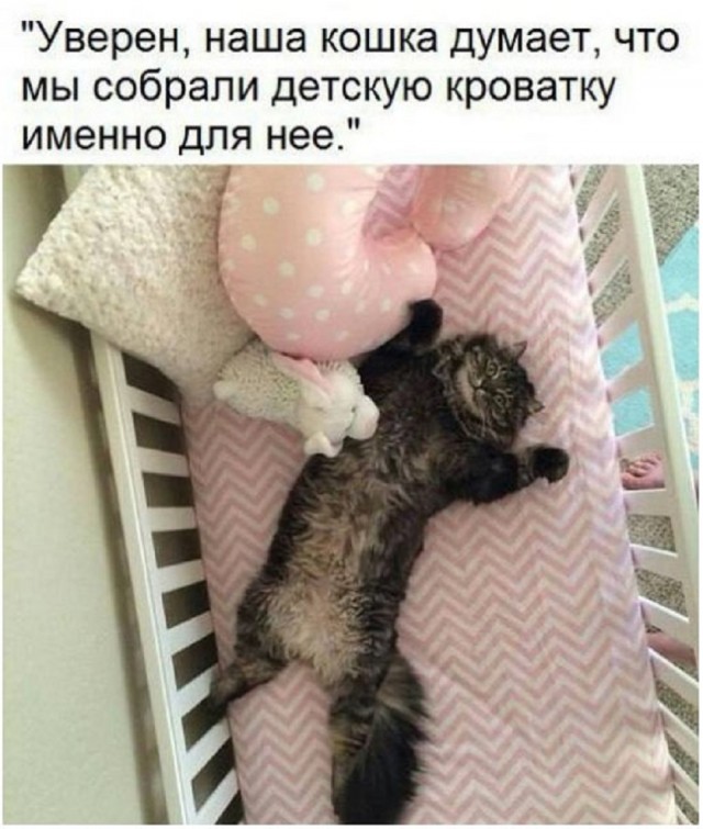 Так себе картинки 09.12.25