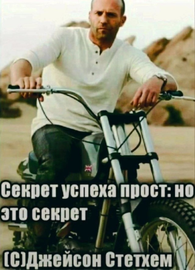 Мой кот - дизайнер интерьеров.