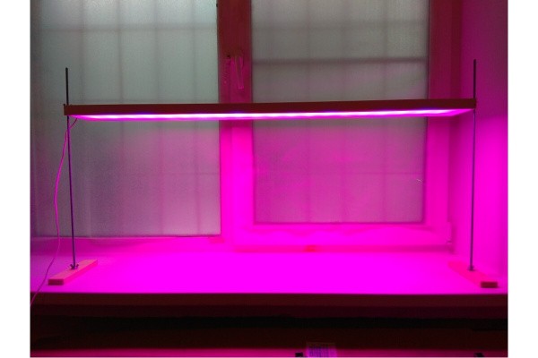 Огородники есть?