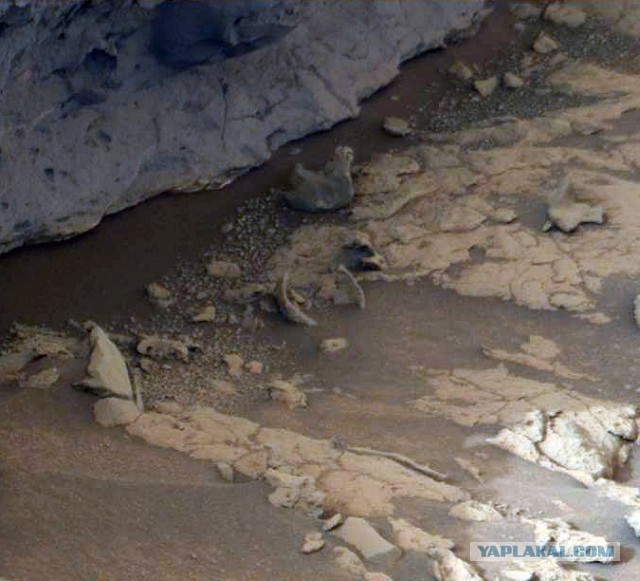 Curiosity отправляется в путь длиною в год