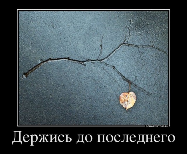 Склад баянов