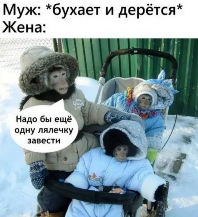 Среды картинки