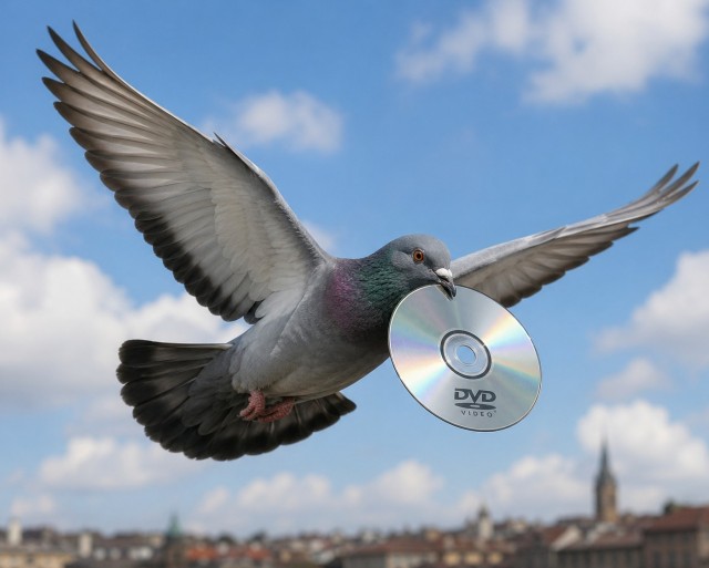 Екатеринбург подверглся атаке БПЛА