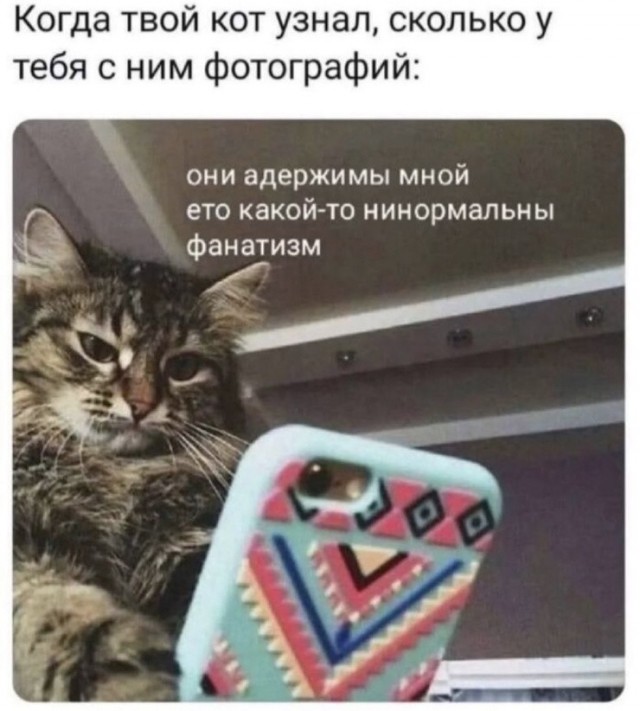 Так себе картинки 17.06.26