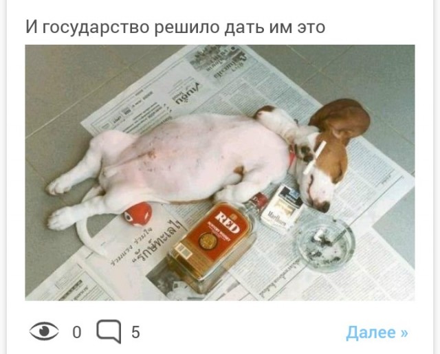 Как Исландия почти полностью отучила подростков от алкоголя и сигарет