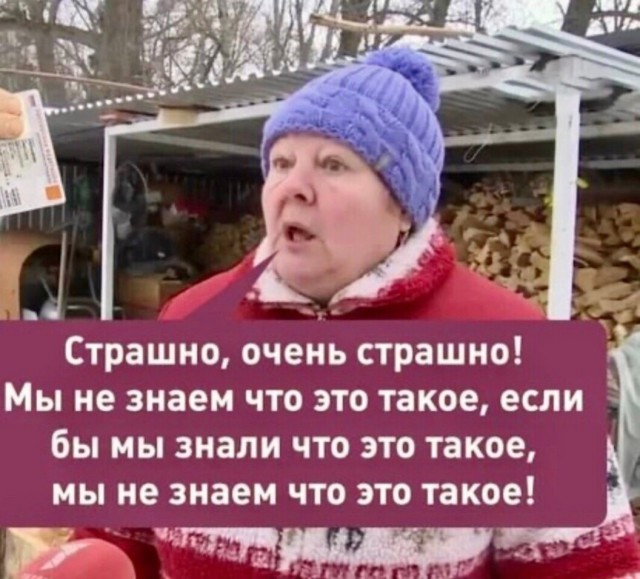 Огромная цепочка перелетных птиц с ксеноном пронеслась только что над Москвой