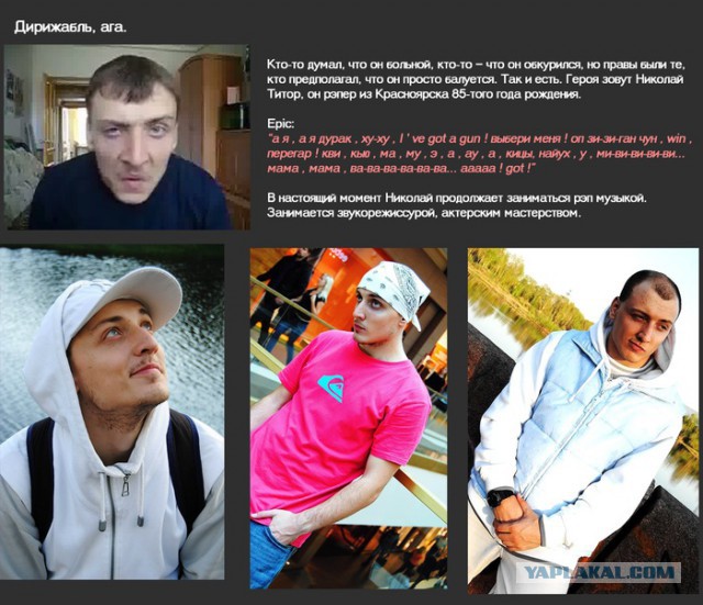 5 звезд русского интернета