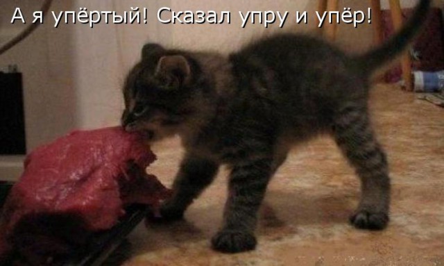 Не про олимпиаду