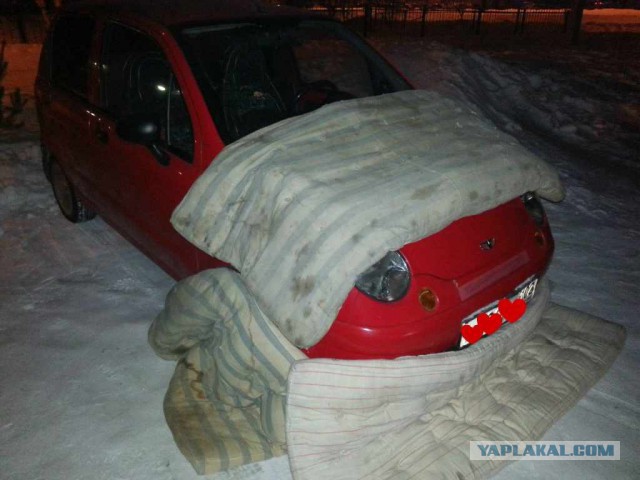 Как девушка заботится о машине в мороз