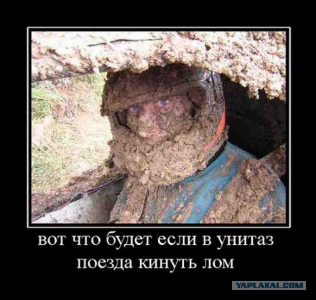 Вот почему такая картина в плацкарте поезда