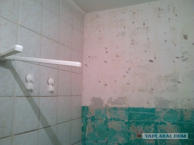 Чем лучше выровнять стены в ванной
