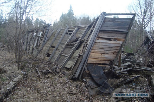 Выходные на свежем воздухе