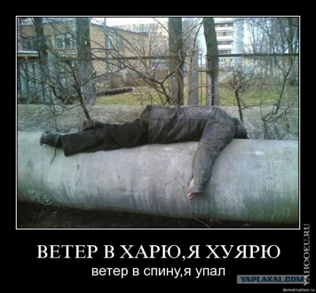 Толя еще будет!