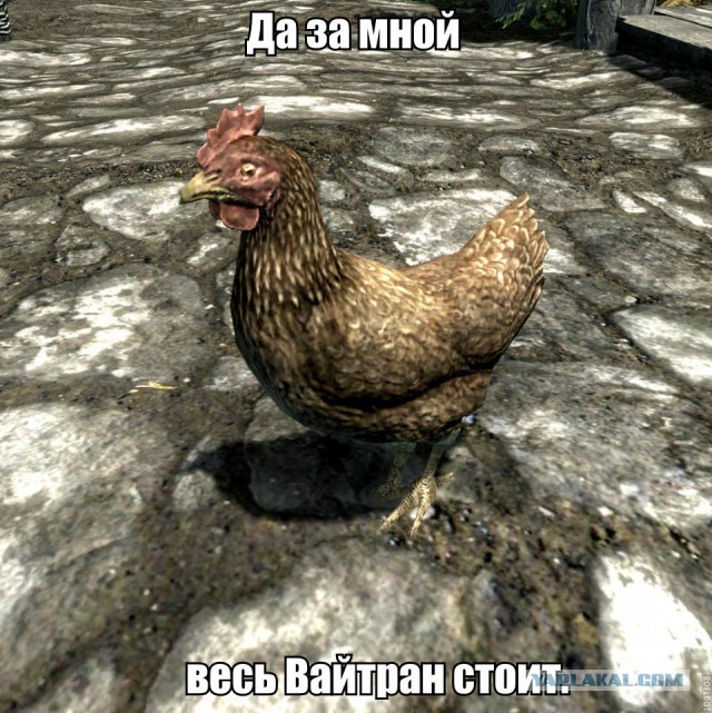 Counter Strike в рельной жизни
