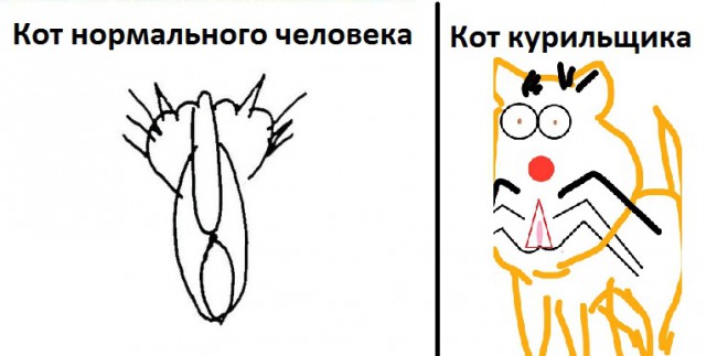 А давайте поговорим о жизни