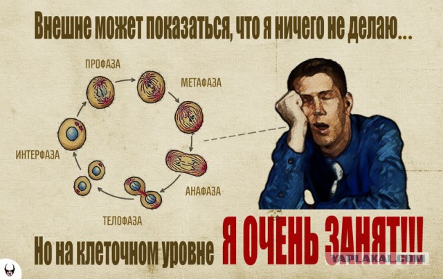 Люди, которые сидят или "работящие африканцы"