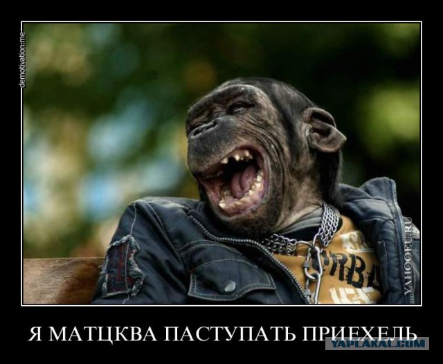 В Госдуме призвали отменить ЕГЭ