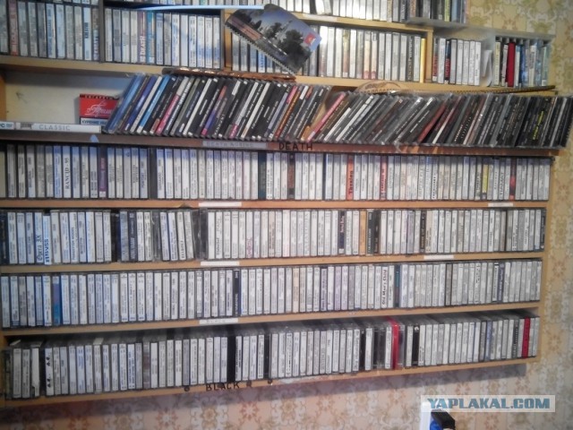 Подскажите, какую лучше брать - BASF или SONY?