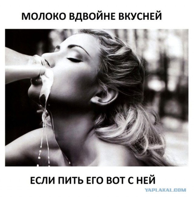 Подборка смешных картинок с надписями