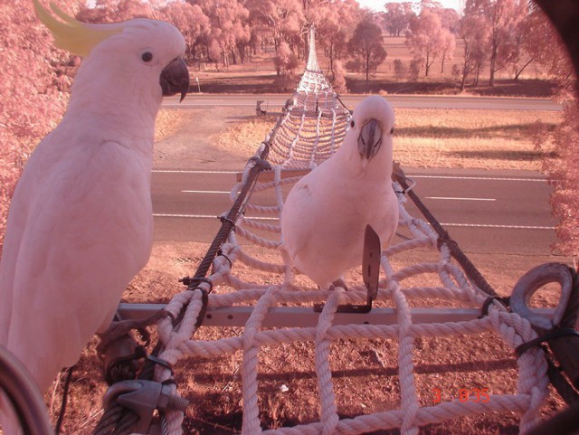 Моменты, запечатлённые на фото и просто позитив 5