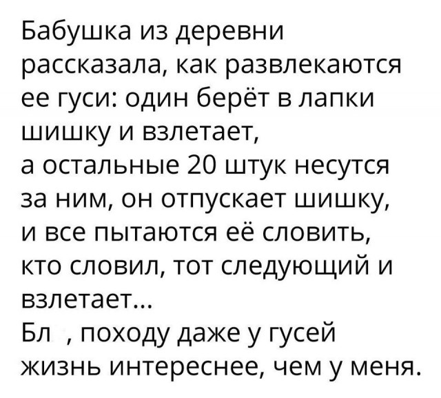 Просто картинки