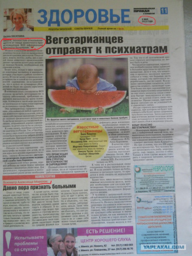 Теперь веганке не придется каждые пять минут говорить, что она веган