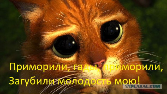 "Вор в законе" Осинцев: розовые сопли, правозащитники, Страдсбургский суд