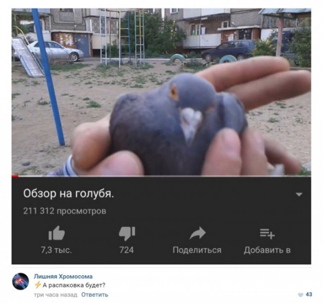 Нестандартный юмор