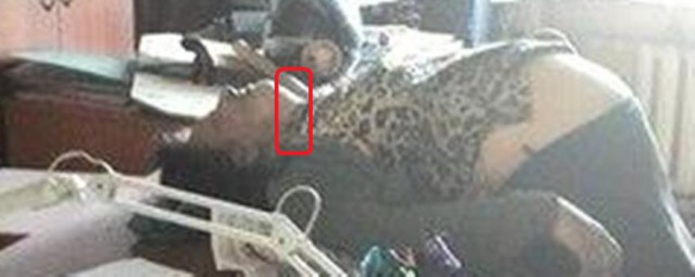В ДНР погиб Олег "Мамай" Мамиев