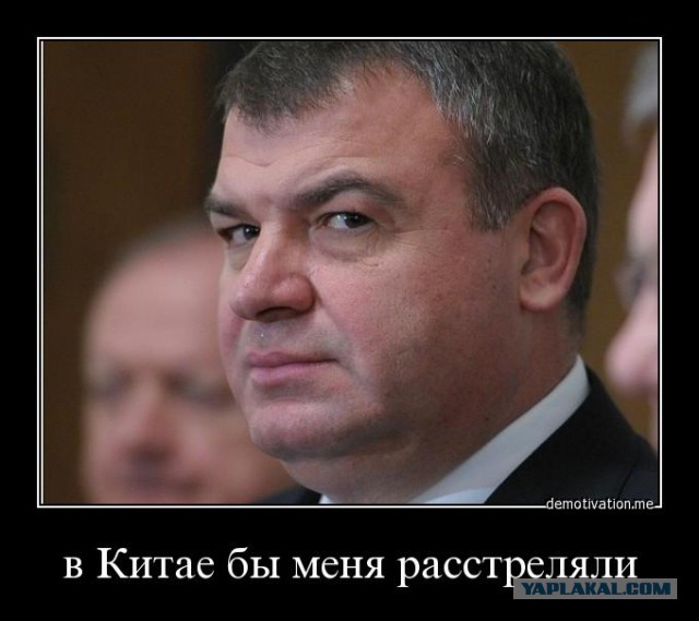 Экс-министр обороны Анатолий Сердюков заработал в прошлом году 60 млн рублей