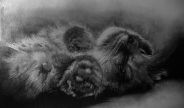 Рисованные коты