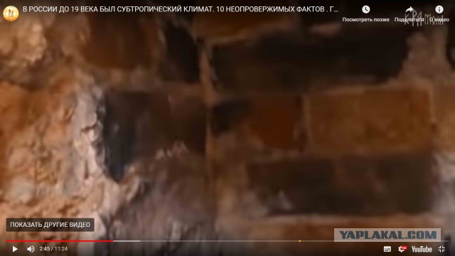 В России до 19 века был субтропический климат