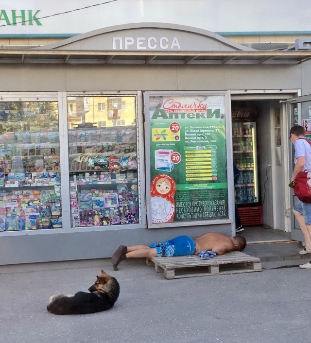 Скотсети и прочие интернеты 01.02.19