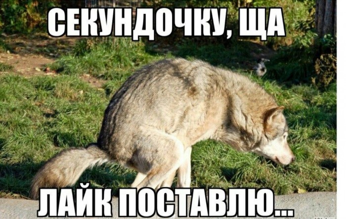 Знакомство по объявлению