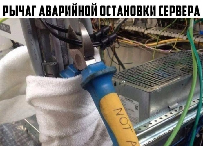 Свистим!