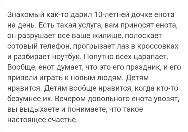 Заведи себе енота, говорили они...