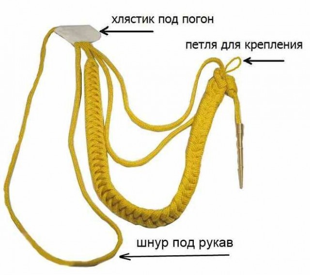 100 забавных фактов со всего мира