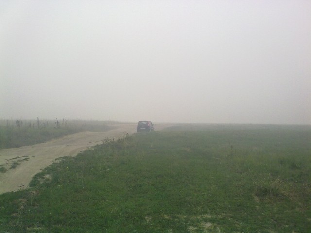 Вспомним 2010г