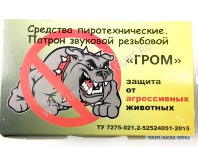 В лес? А почему бы и нет...