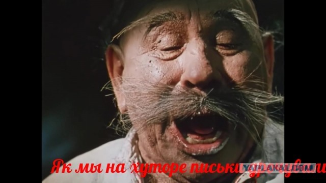 Фото симпатичных девушек из социальных сетей 06.12.20