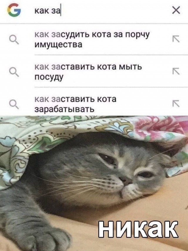 Едрить - колотить!