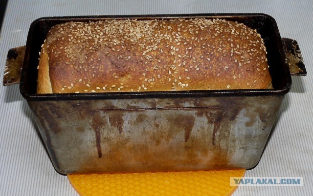 Хлеб-рулет из холода (не холодец!:))