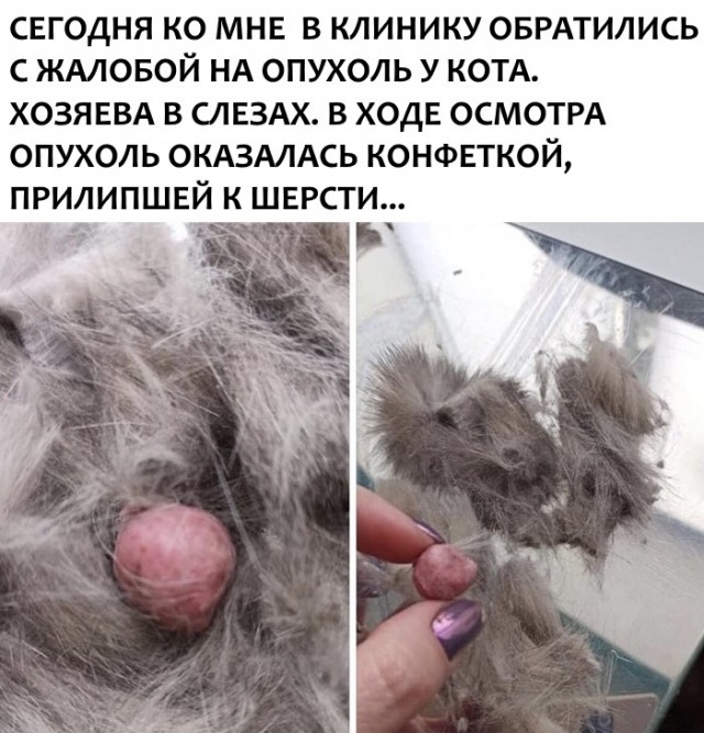 Весёлый полтишок 2.03