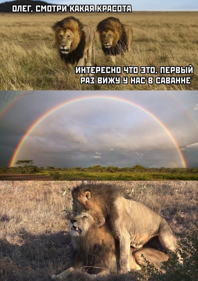 Картинки разные